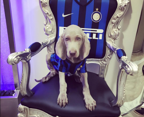 coco cane icardi wanda nara