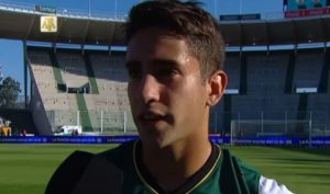 cecchini